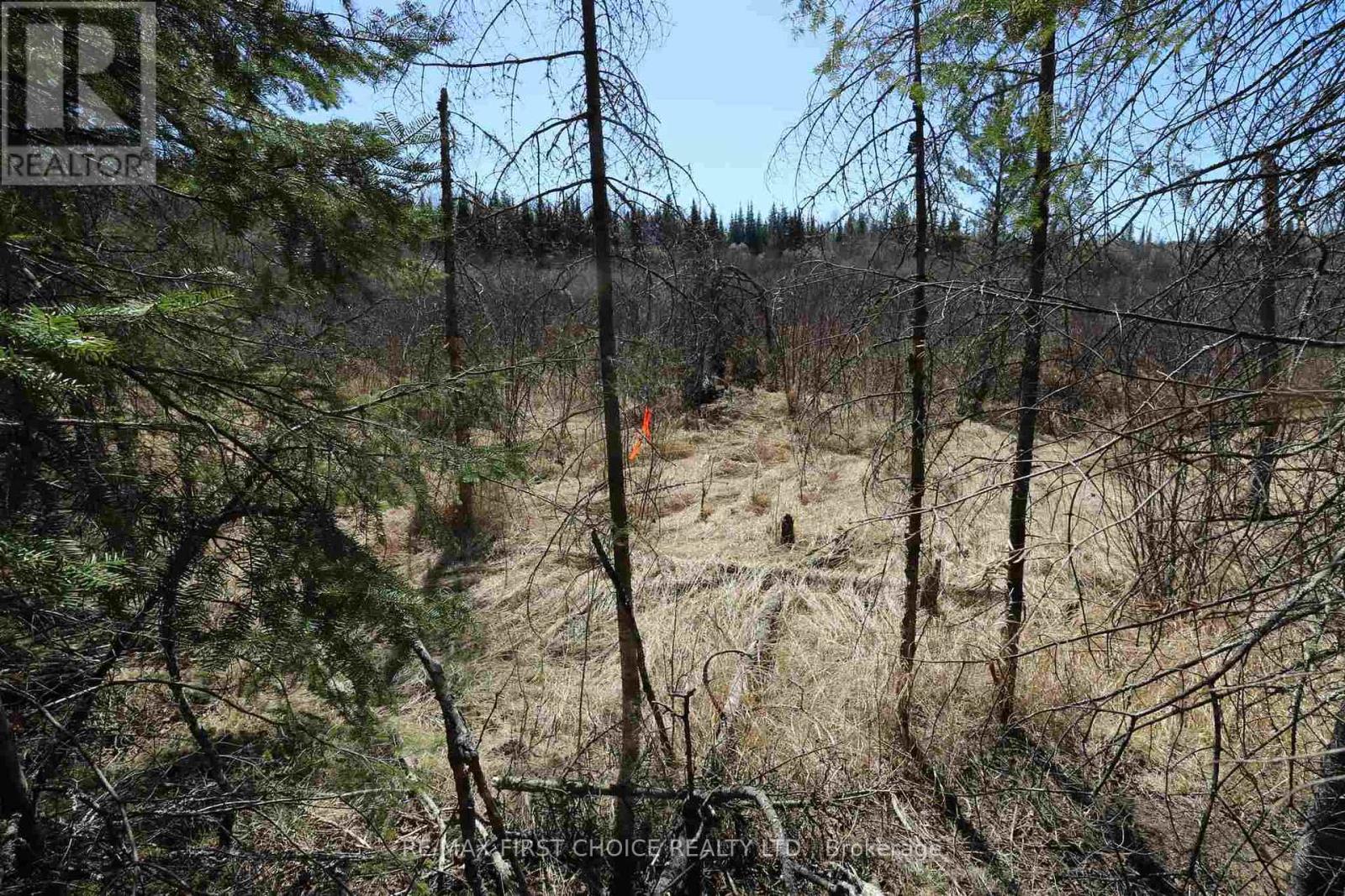 Lot 151 Plan M222, Kenora Remote Area, Ontario  P0X 1J0 - Photo 16 - X13251820