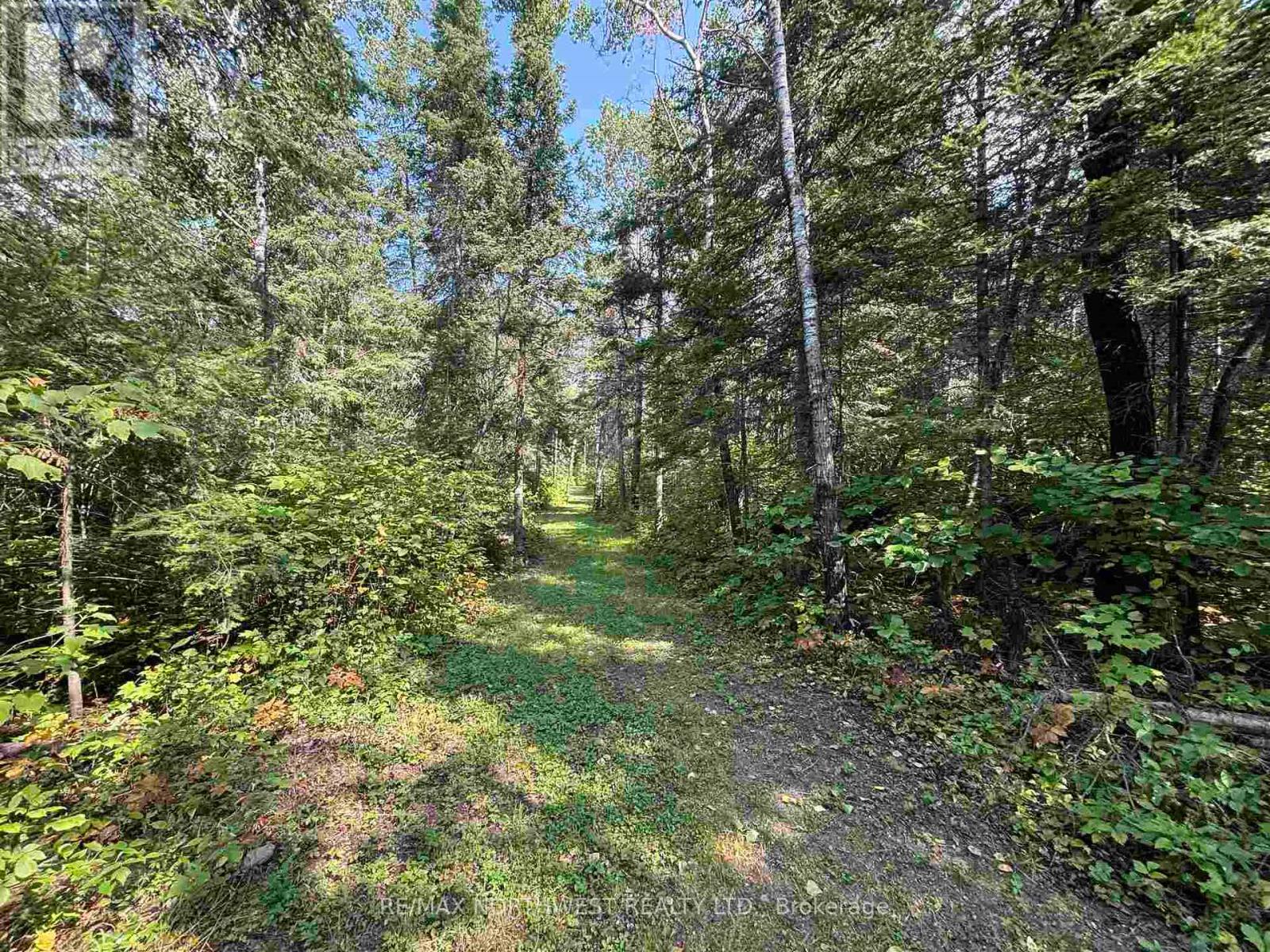 Lot 17,19,20 Lake Of The Woods, Kenora Remote Area, Ontario  P0X 1C0 - Photo 9 - X13250270