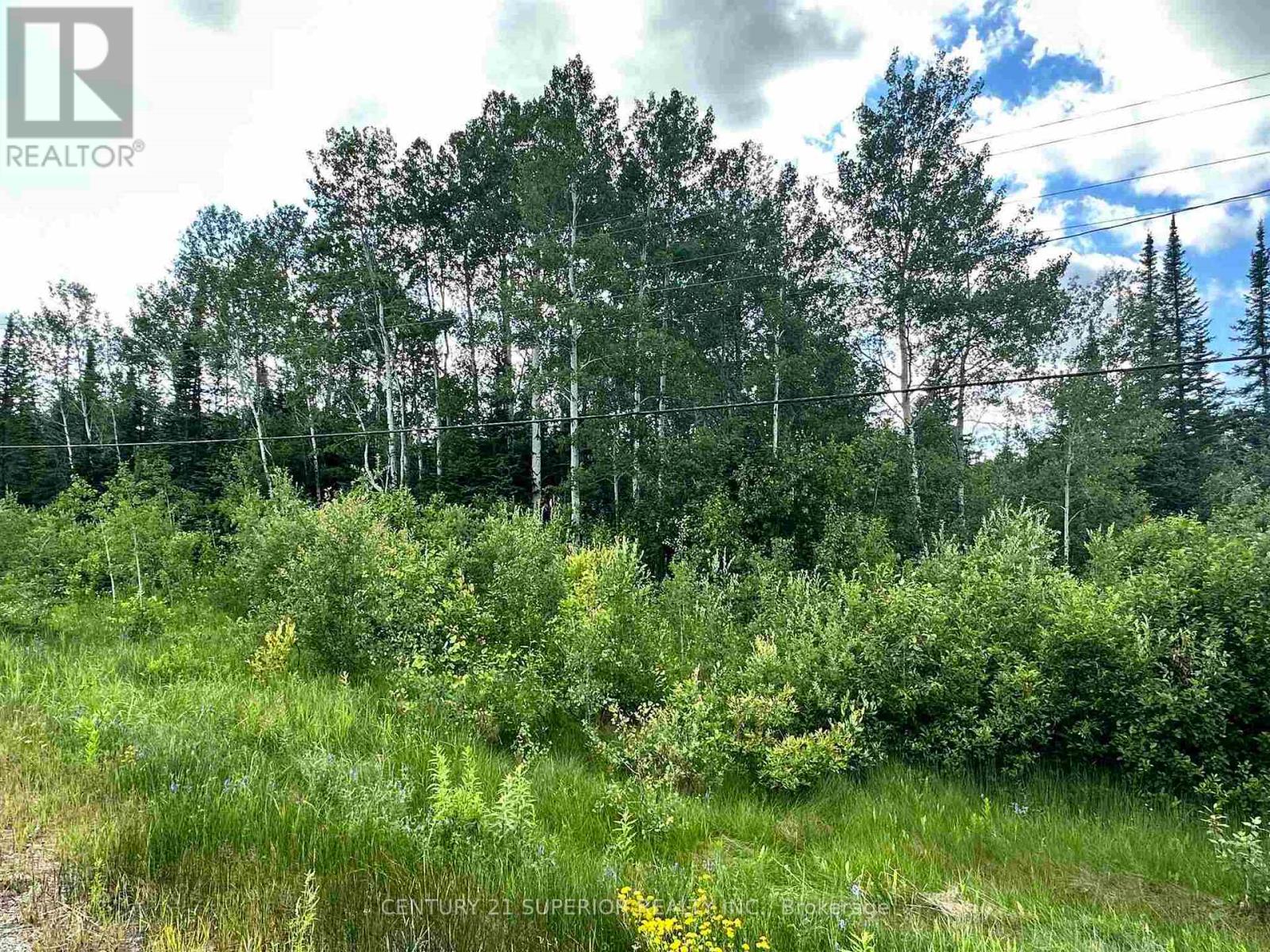 W 1/2 Lt 5 Cantley Drive Hwy 11-17, Red Rock, Ontario  P0T 2P0 - Photo 13 - X13250276
