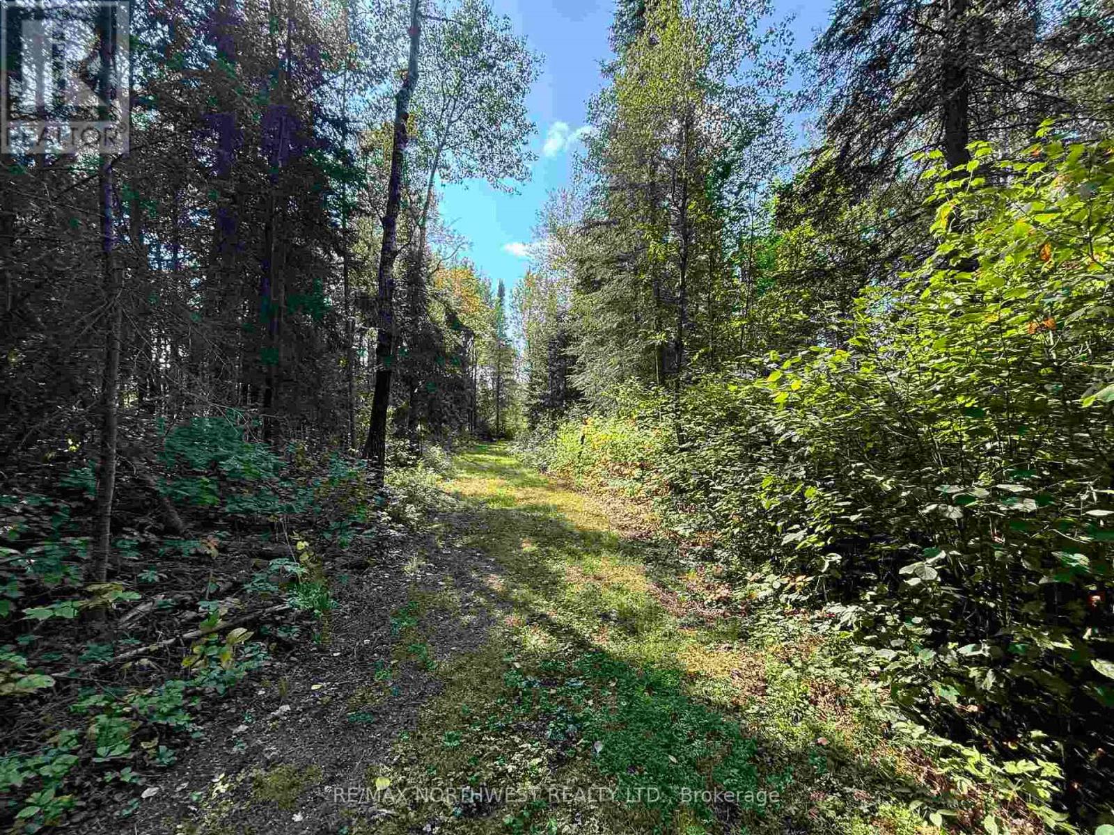Lot 17,19,20 Lake Of The Woods, Kenora Remote Area, Ontario  P0X 1C0 - Photo 10 - X13250270
