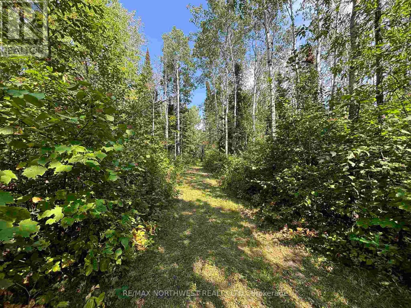 Lot 17,19,20 Lake Of The Woods, Kenora Remote Area, Ontario  P0X 1C0 - Photo 8 - X13250270