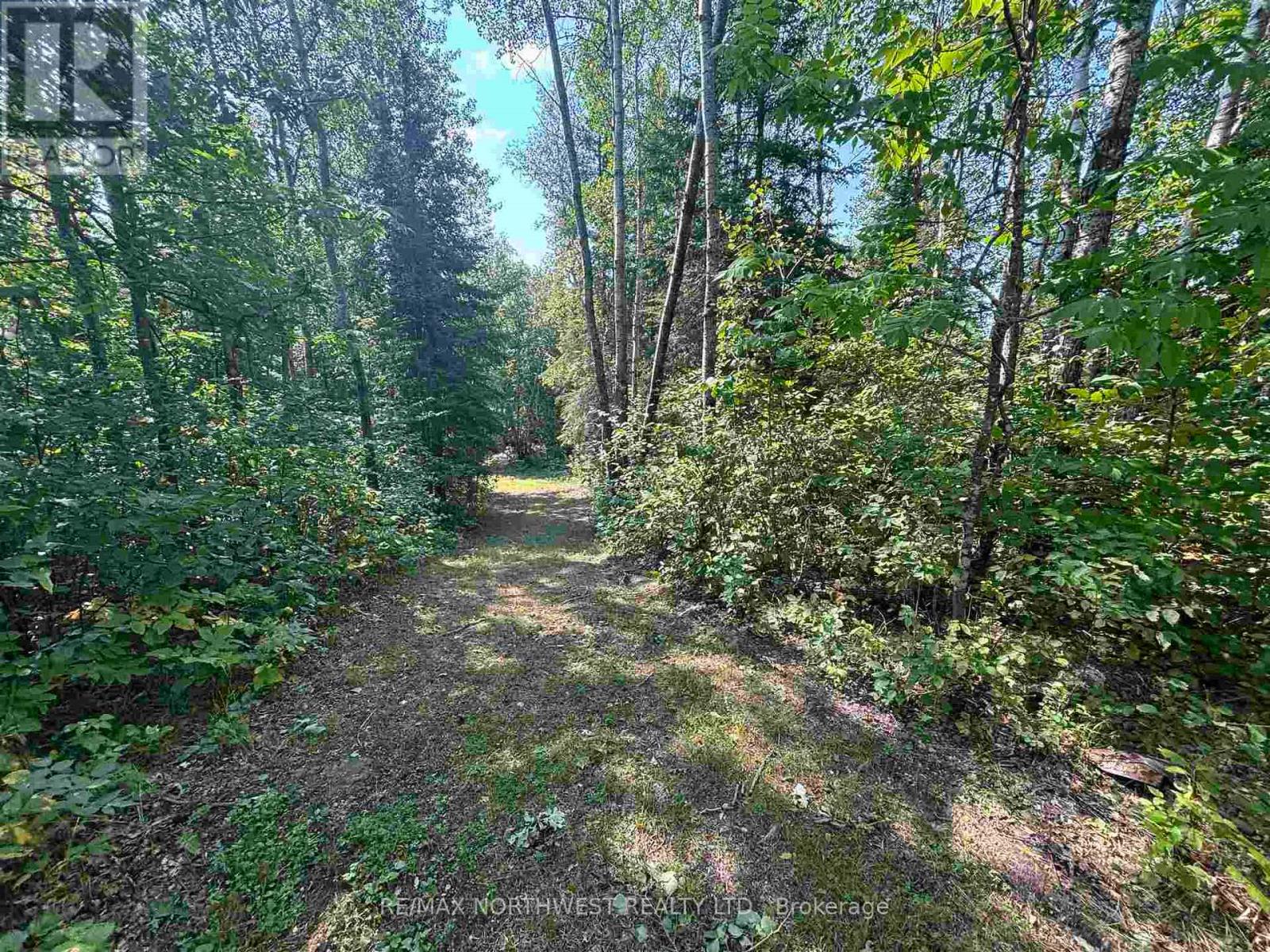 Lot 17,19,20 Lake Of The Woods, Kenora Remote Area, Ontario  P0X 1C0 - Photo 7 - X13250270