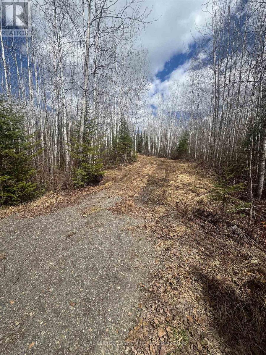 464 Union School Road S, Neebing, Ontario  P7L 0G2 - Photo 2 - X13250800