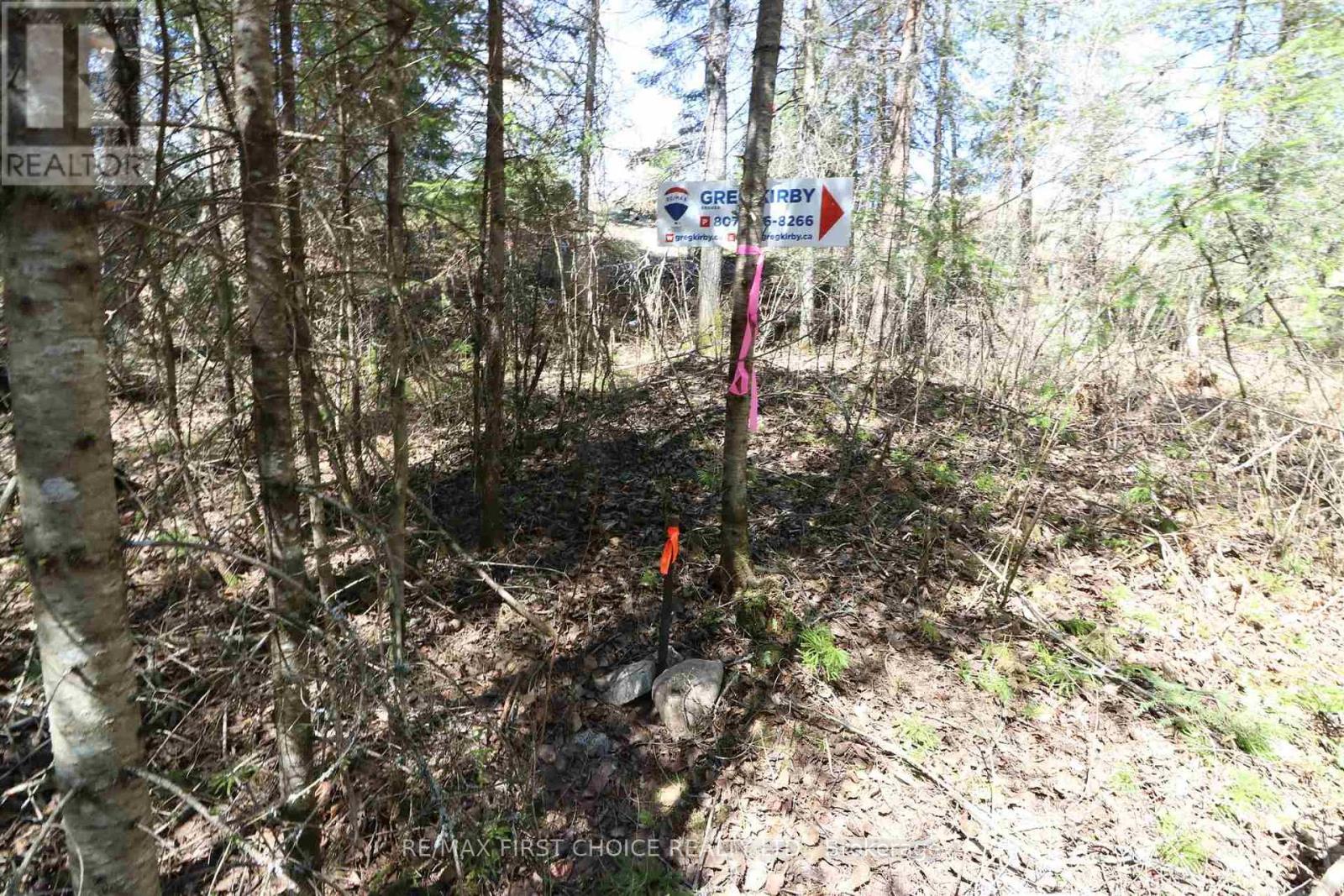 Lot 152 Plan M222, Kenora Remote Area, Ontario  P0X 1J0 - Photo 11 - X13251822