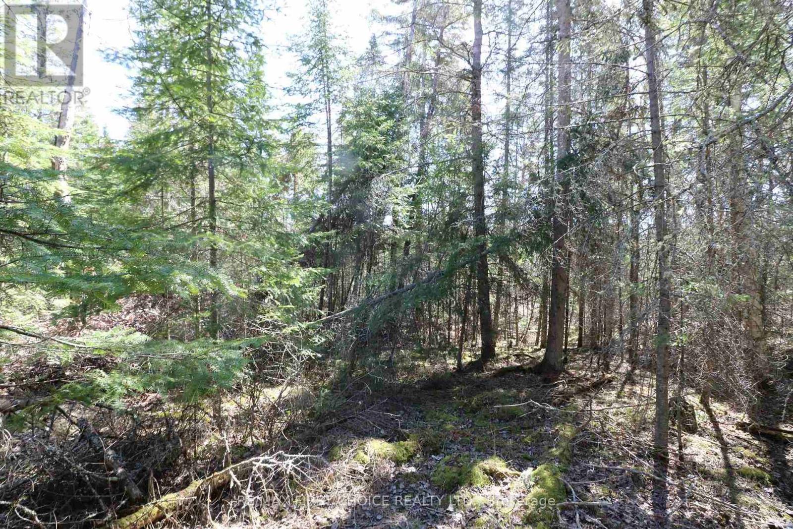 Lot 152 Plan M222, Kenora Remote Area, Ontario  P0X 1J0 - Photo 15 - X13251822