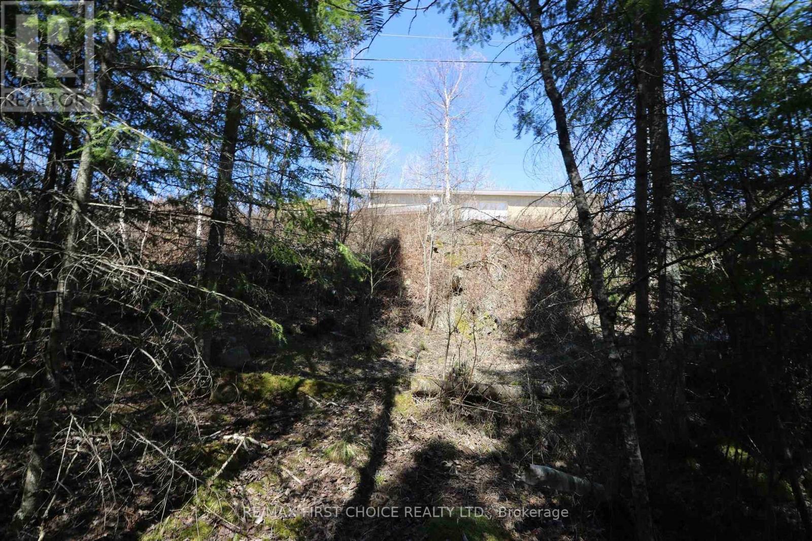 Lot 152 Plan M222, Kenora Remote Area, Ontario  P0X 1J0 - Photo 17 - X13251822