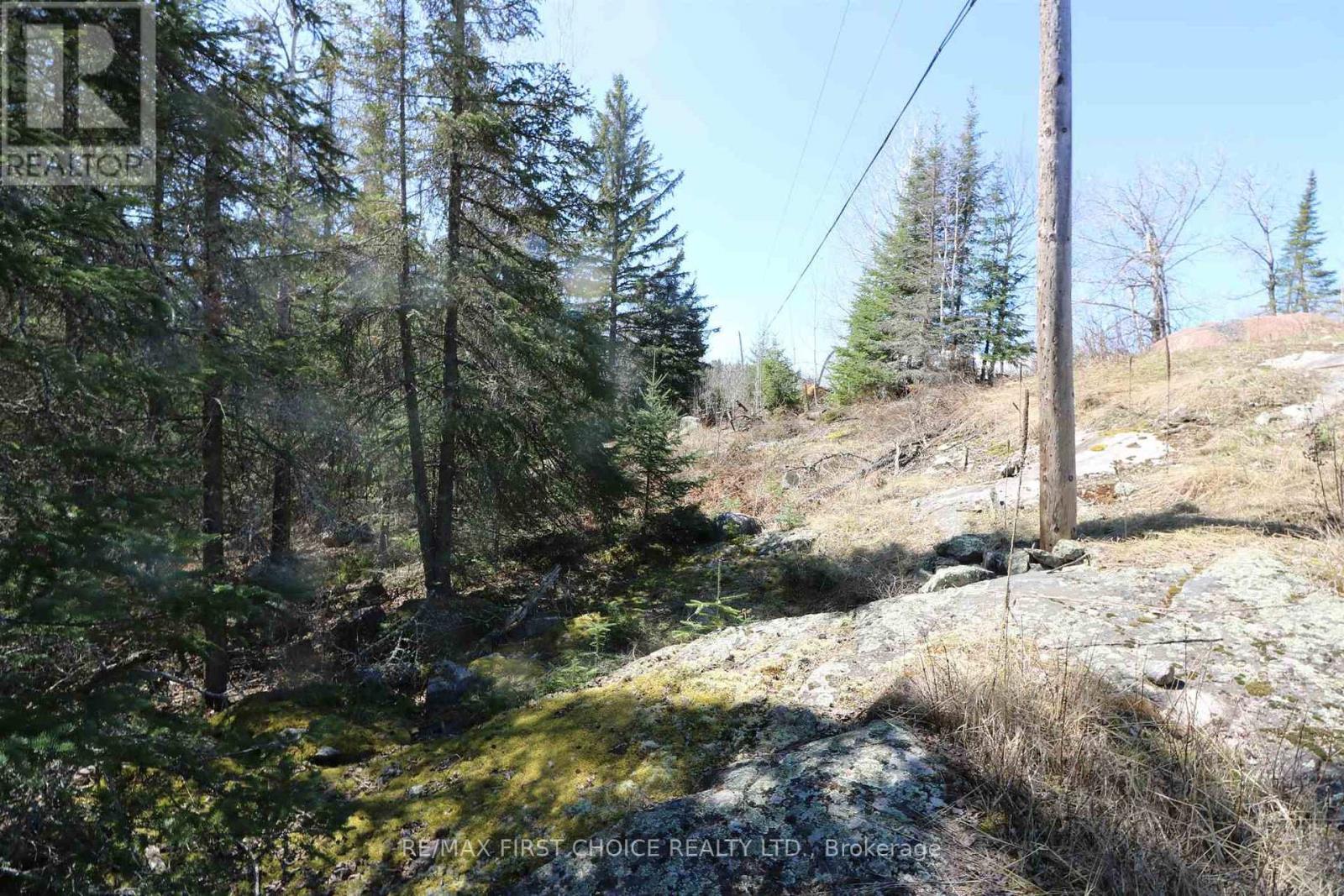 Lot 152 Plan M222, Kenora Remote Area, Ontario  P0X 1J0 - Photo 21 - X13251822