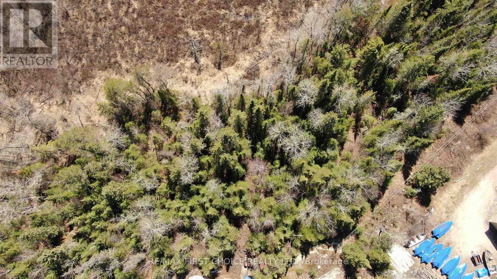 Lot 152 Plan M222, Kenora Remote Area, Ontario  P0X 1J0 - Photo 30 - X13251822