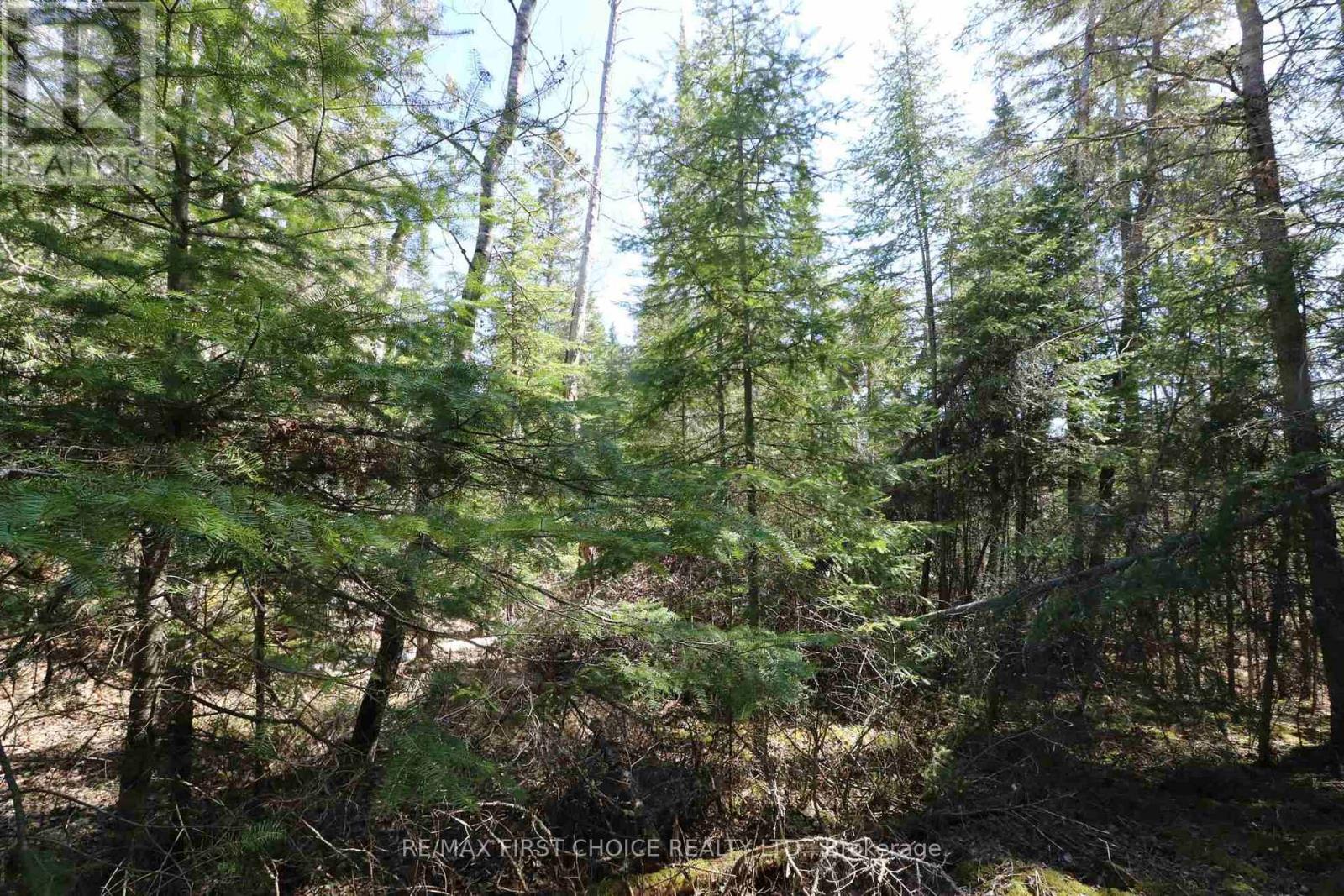 Lot 152 Plan M222, Kenora Remote Area, Ontario  P0X 1J0 - Photo 16 - X13251822