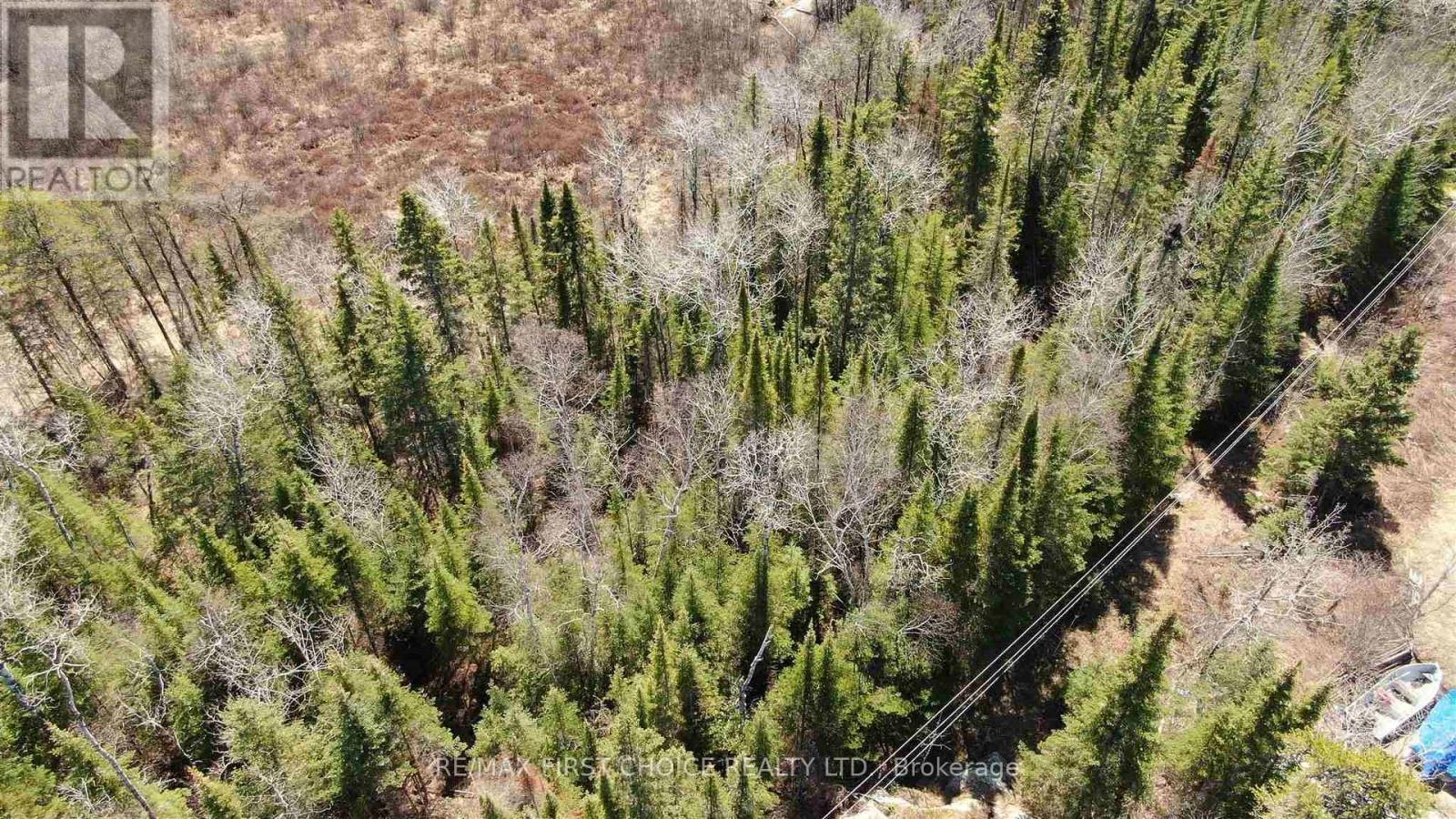 Lot 152 Plan M222, Kenora Remote Area, Ontario  P0X 1J0 - Photo 26 - X13251822