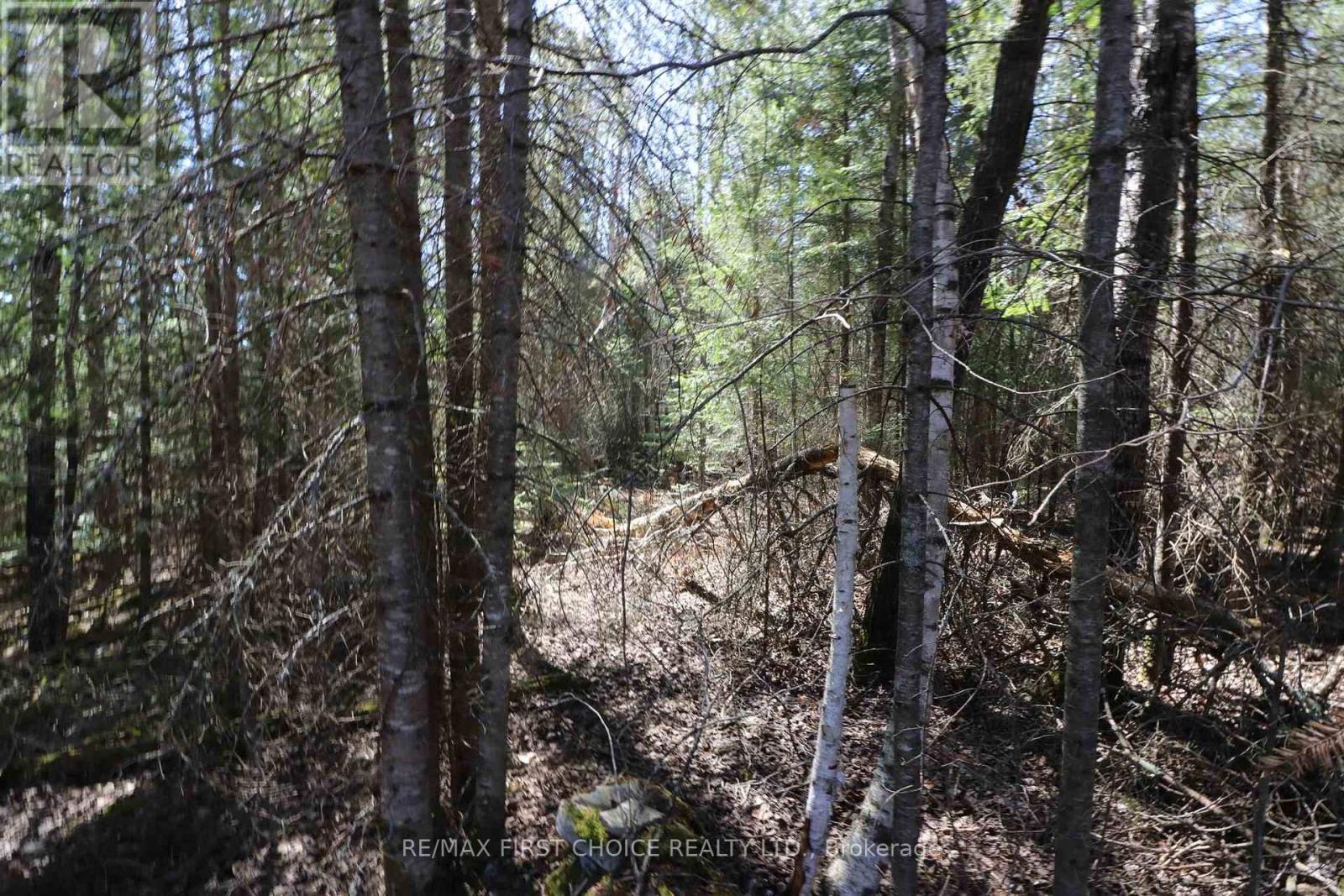 Lot 152 Plan M222, Kenora Remote Area, Ontario  P0X 1J0 - Photo 19 - X13251822