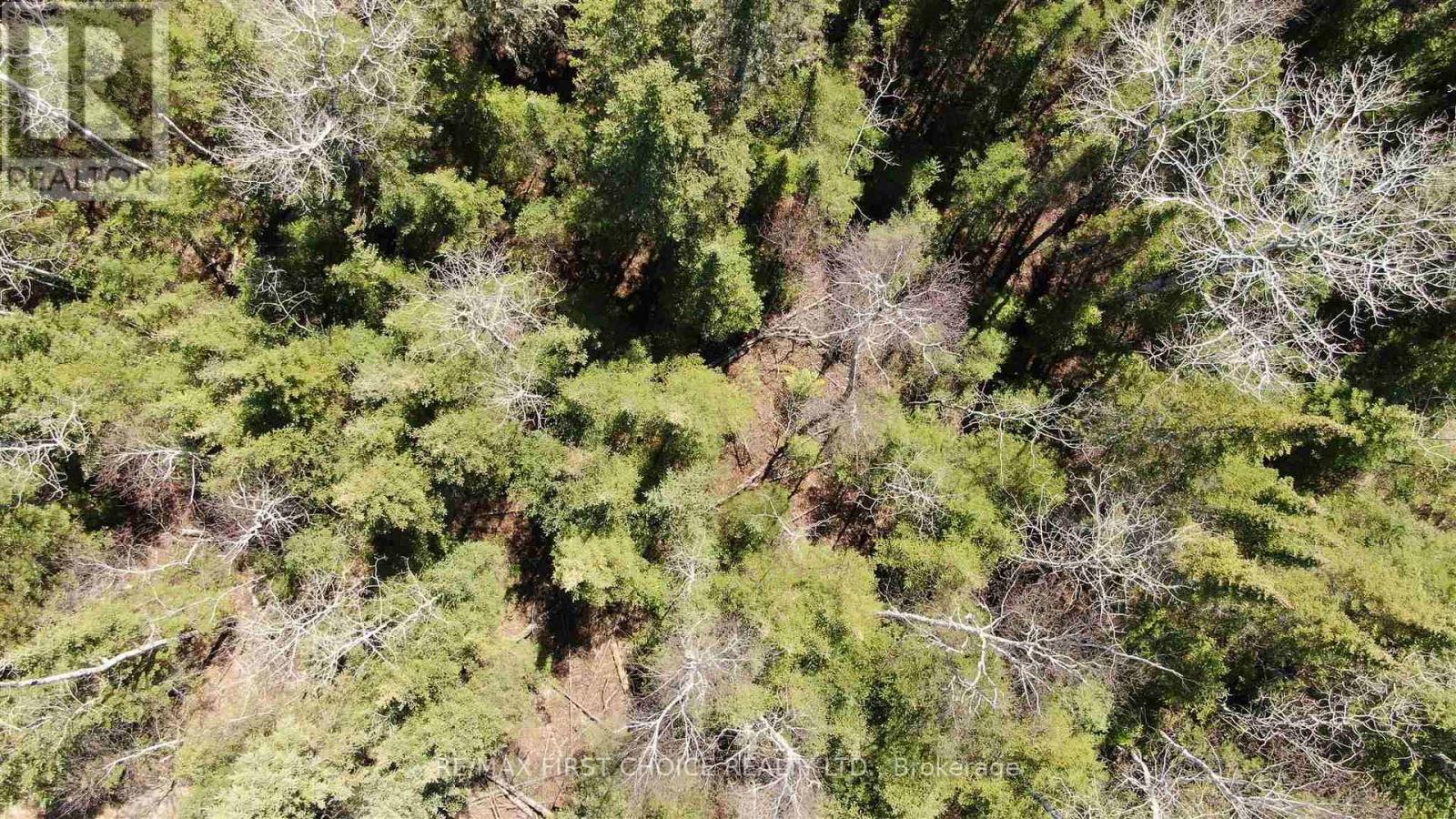 Lot 151 Plan M222, Kenora Remote Area, Ontario  P0X 1J0 - Photo 28 - X13251820