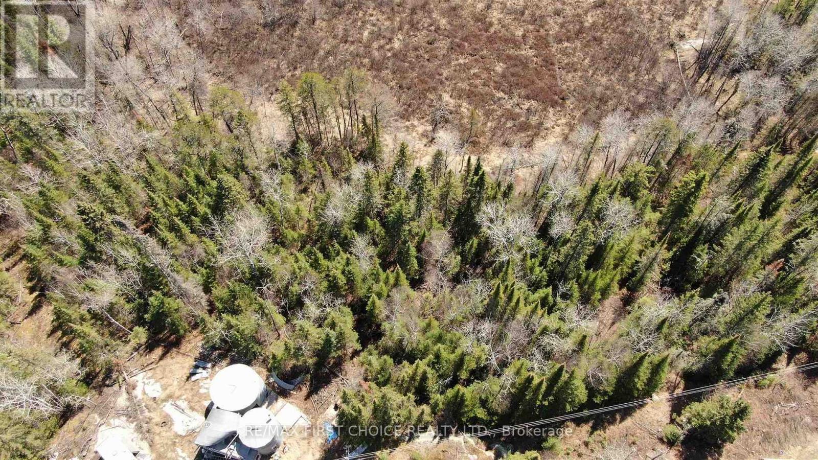 Lot 152 Plan M222, Kenora Remote Area, Ontario  P0X 1J0 - Photo 36 - X13251822