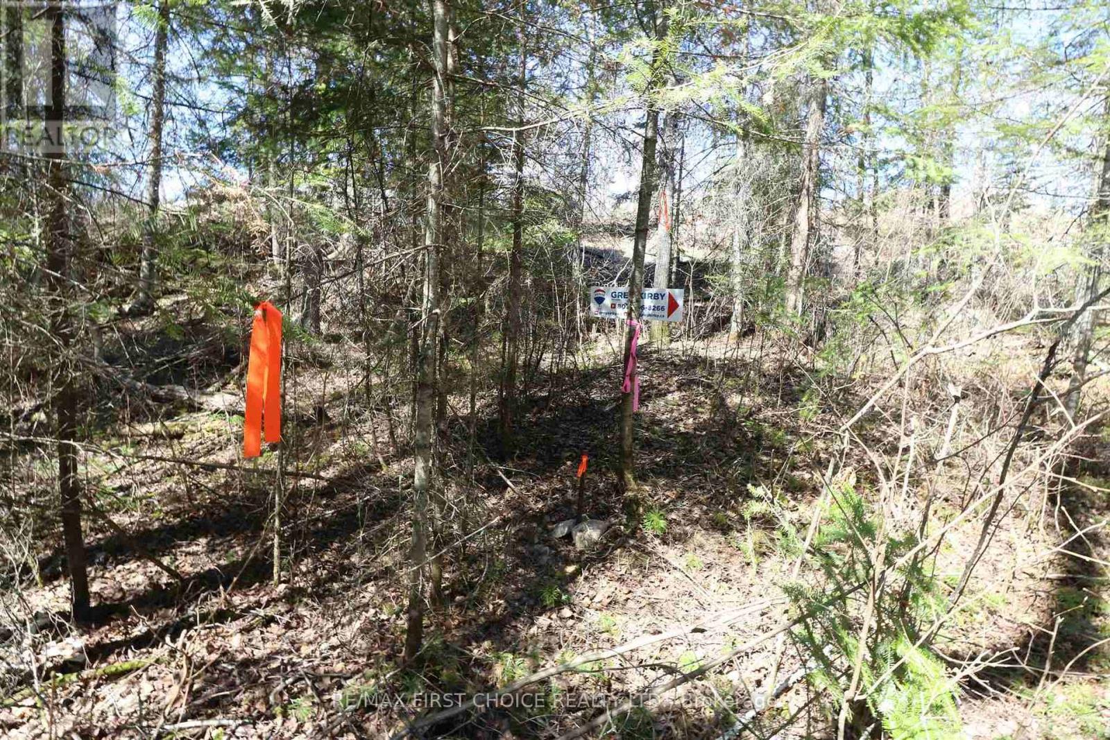 Lot 152 Plan M222, Kenora Remote Area, Ontario  P0X 1J0 - Photo 10 - X13251822