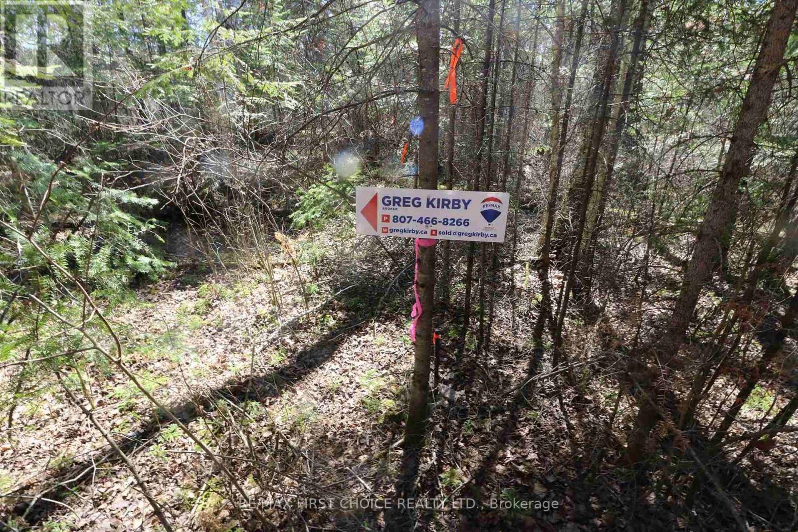 Lot 152 Plan M222, Kenora Remote Area, Ontario  P0X 1J0 - Photo 9 - X13251822