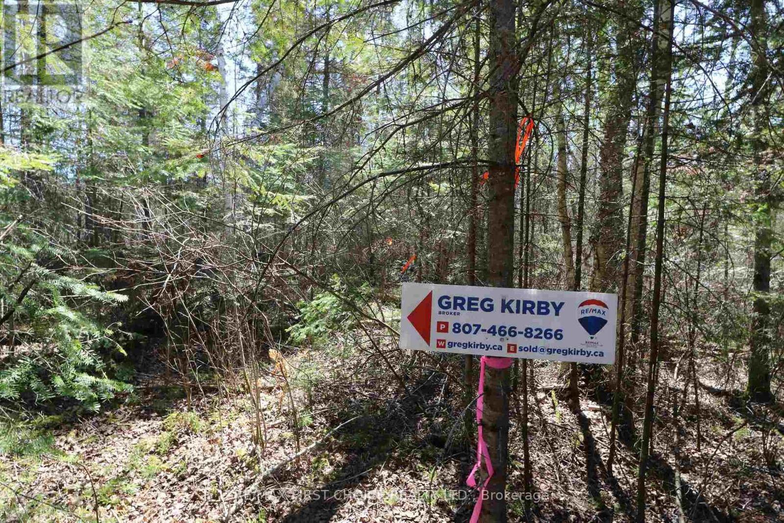Lot 152 Plan M222, Kenora Remote Area, Ontario  P0X 1J0 - Photo 5 - X13251822