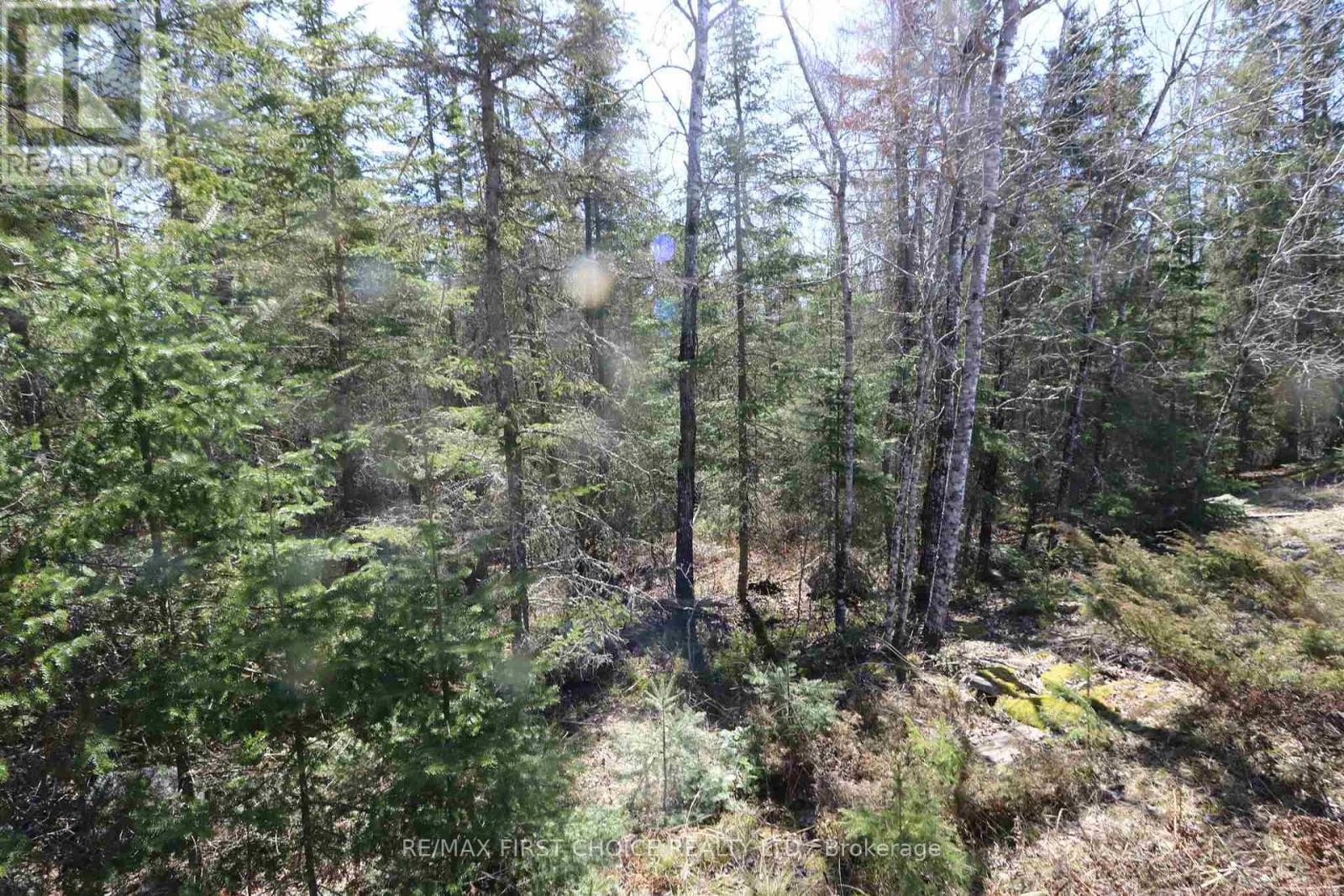 Lot 152 Plan M222, Kenora Remote Area, Ontario  P0X 1J0 - Photo 23 - X13251822