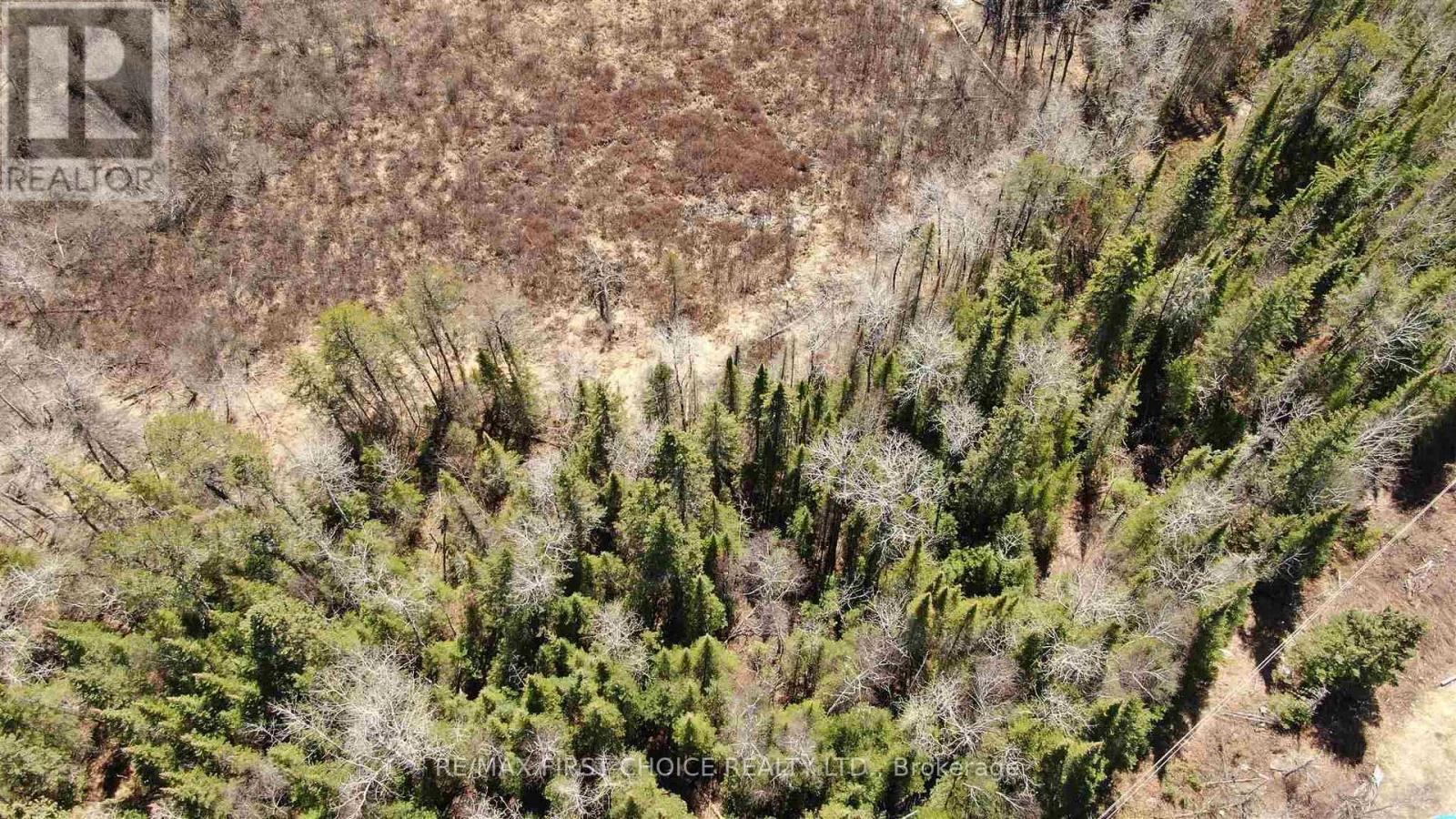 Lot 152 Plan M222, Kenora Remote Area, Ontario  P0X 1J0 - Photo 31 - X13251822