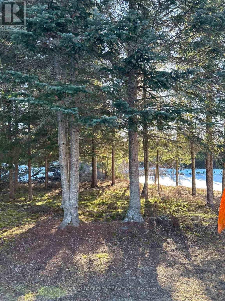 1 Bear Camp, Machin, Ontario  P0V 1S0 - Photo 21 - X13256418