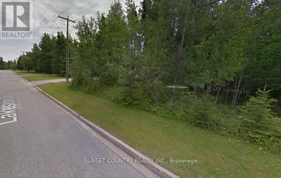 124 Lakeside Drive, Dryden, Ontario  P8N 3H4 - Photo 2 - X13253536