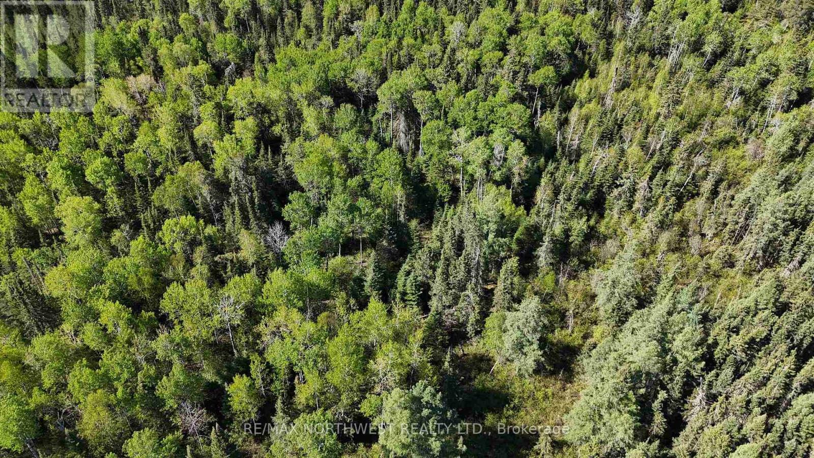 Part 1&2 Jones Road, Kenora, Ontario  P9N 0B1 - Photo 8 - X13253736