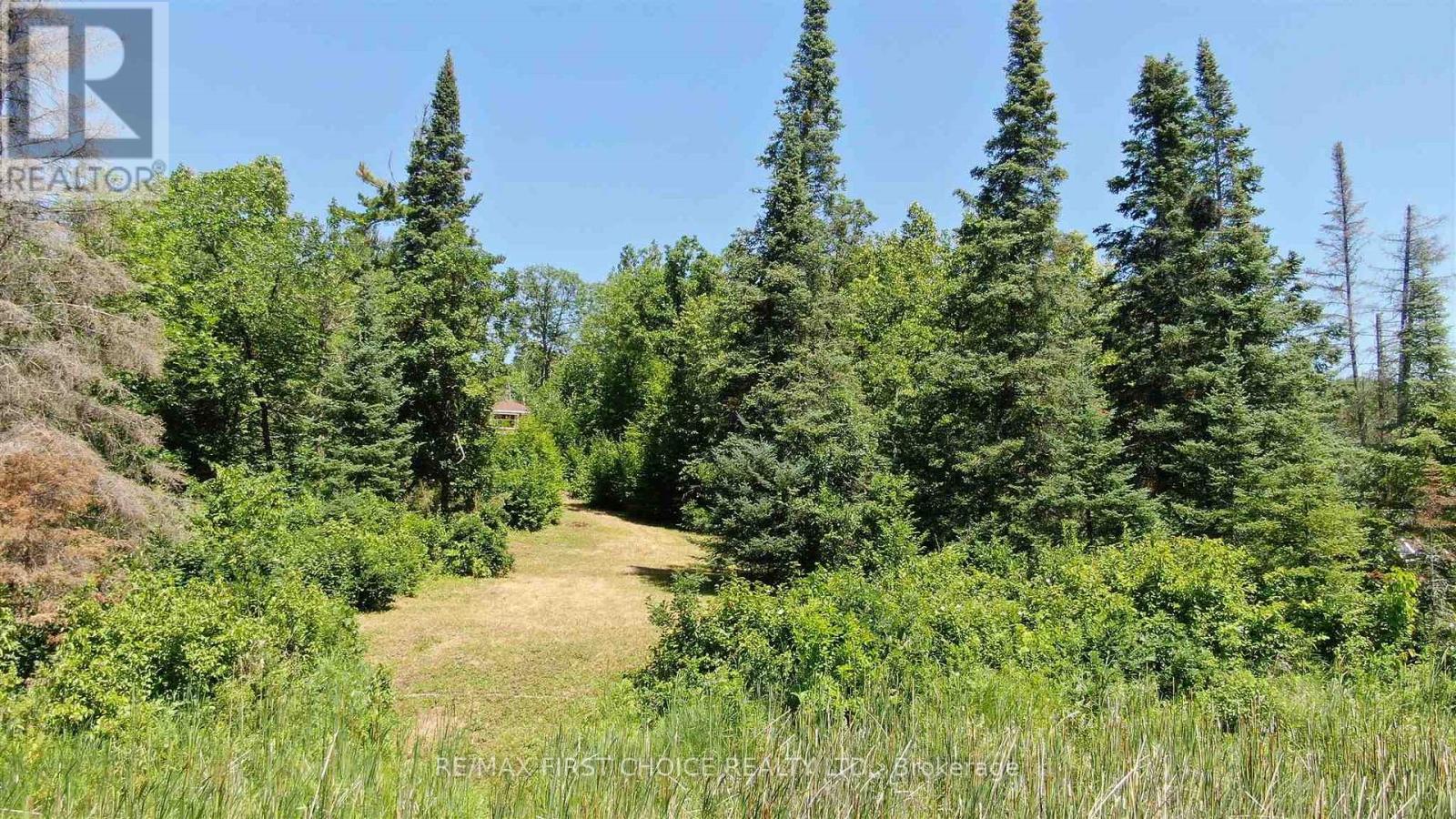 Pt 1 23r-14945 Snake Byway, Sioux Narrows-Nestor Falls, Ontario  P0X 1N0 - Photo 7 - X13256414
