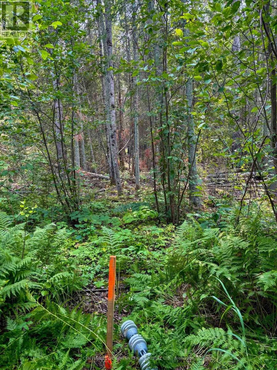 1 - 1 Thompson, Kenora Remote Area, Ontario  P0X 1C0 - Photo 17 - X13257004