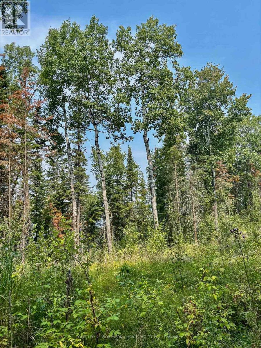 1 - 1 Thompson, Kenora Remote Area, Ontario  P0X 1C0 - Photo 18 - X13257004