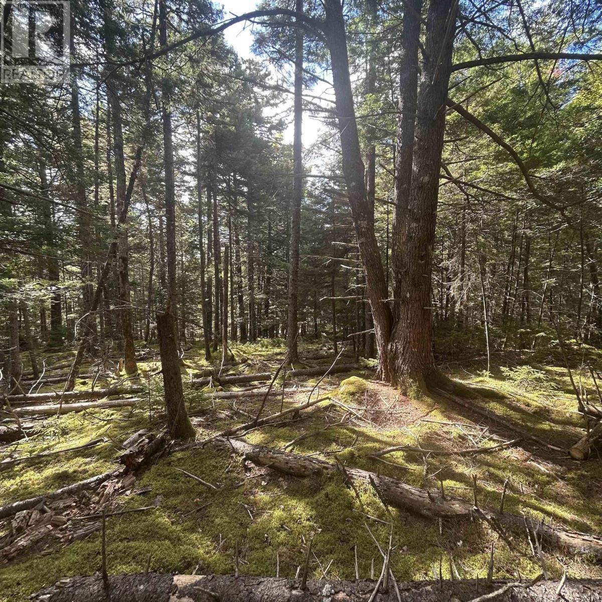 Lot 25-3 Conquerall Mills Road, Hebbville, Nova Scotia  B4V 7A3 - Photo 6 - 202524449