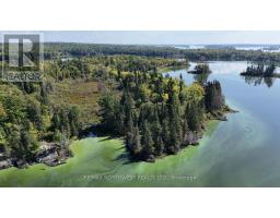 PTS 2,7,8 DORION ISLAND LAKE OF THE WOODS, Kenora Remote Area, Ontario