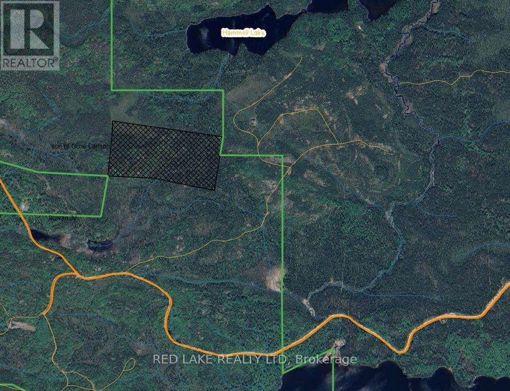 4704 Mount Jamie Road, Kenora Remote Area, Ontario  P0V 2M0 - Photo 2 - X13257670