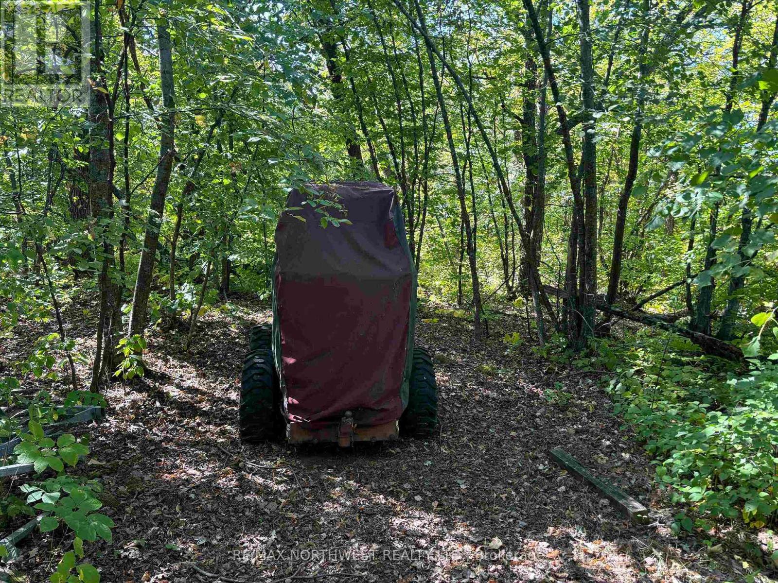 Pts 1,5,6 Dorion Island Lake Of The Woods, Kenora Remote Area, Ontario  P0X 1C0 - Photo 24 - X13257566