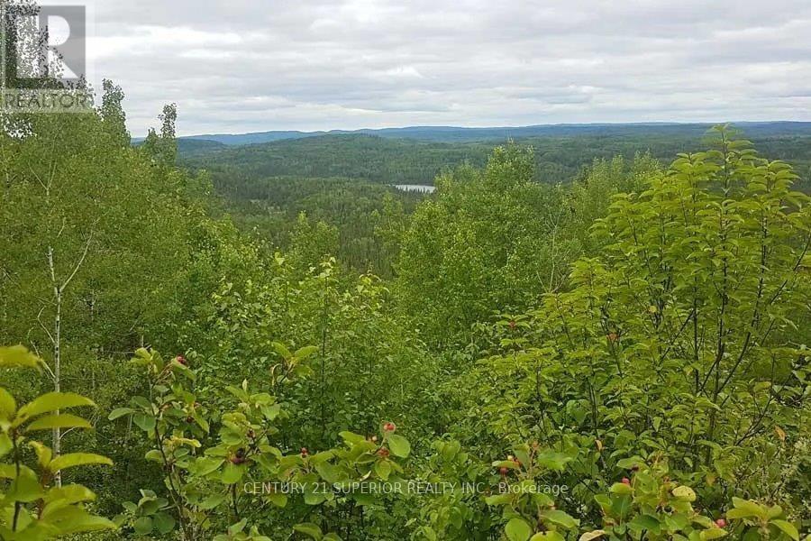 Pcl 6947 Forbes Township, Thunder Bay Remote Area, Ontario  P0T 1X0 - Photo 13 - X13258538
