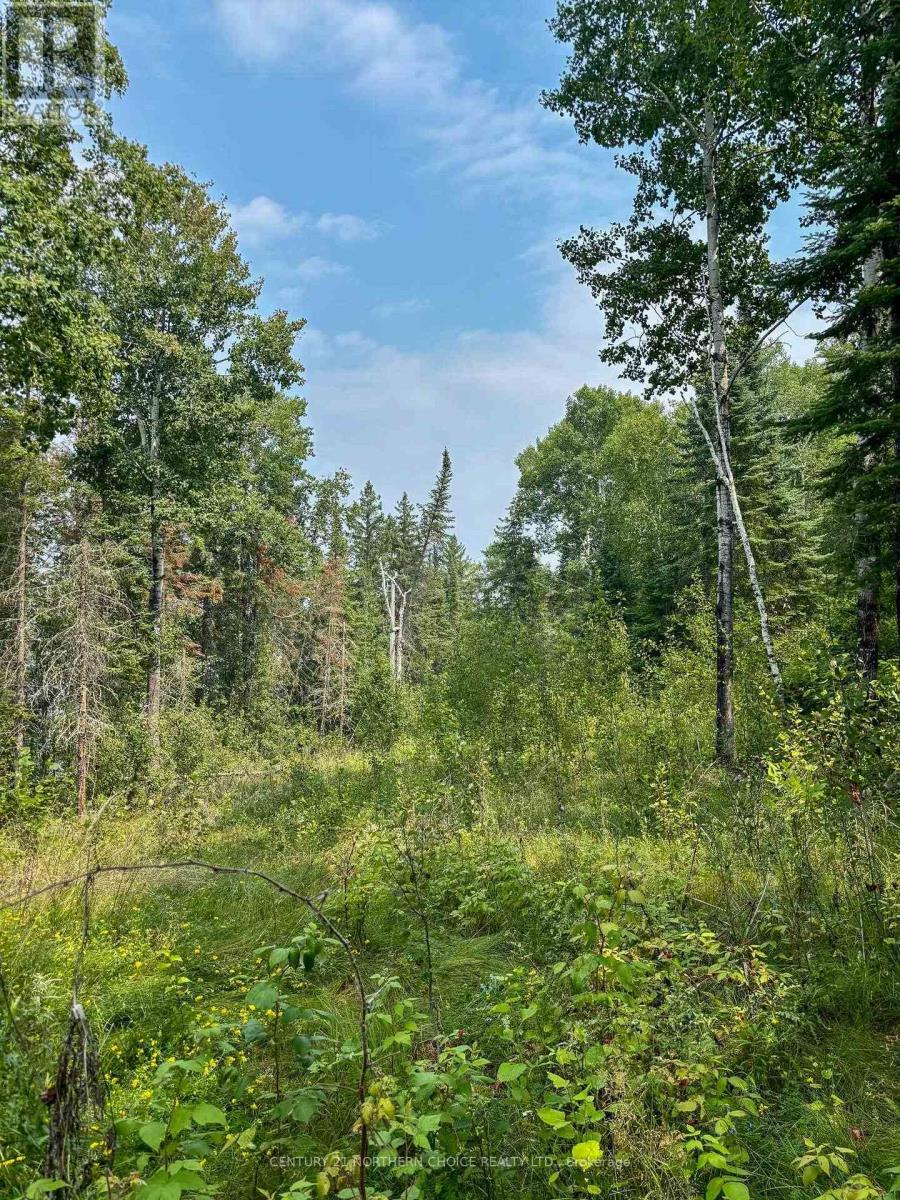1 - 1 Thompson, Kenora Remote Area, Ontario  P0X 1C0 - Photo 28 - X13257004