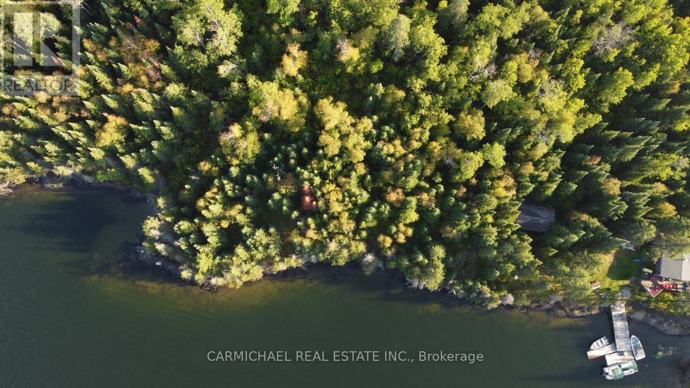Lot 3 Zigzag Island, Kenora Remote Area, Ontario  P0X 1S0 - Photo 4 - X13257944
