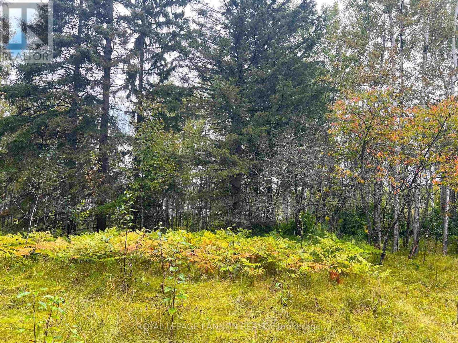 2170 Lynda Avenue, Thunder Bay, Ontario  P7K 1H9 - Photo 10 - X13257866