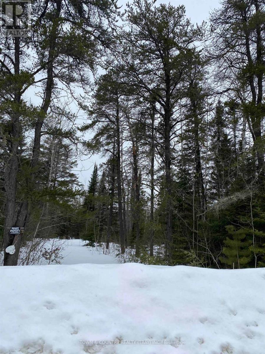 925 Hwy 593, Neebing, Ontario  P7L 0A2 - Photo 9 - X13259184
