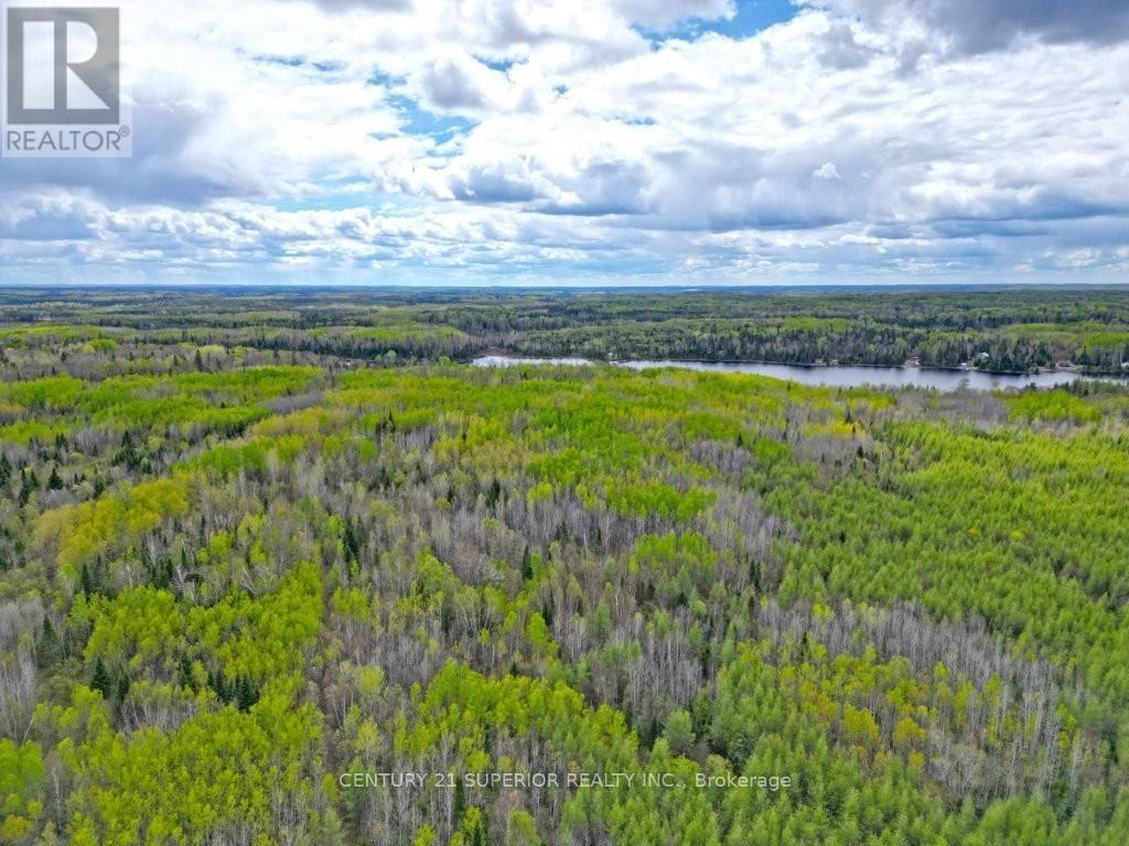 1191 Gonyou Road, Thunder Bay Remote Area, Ontario  P0T 2Y0 - Photo 15 - X13259352