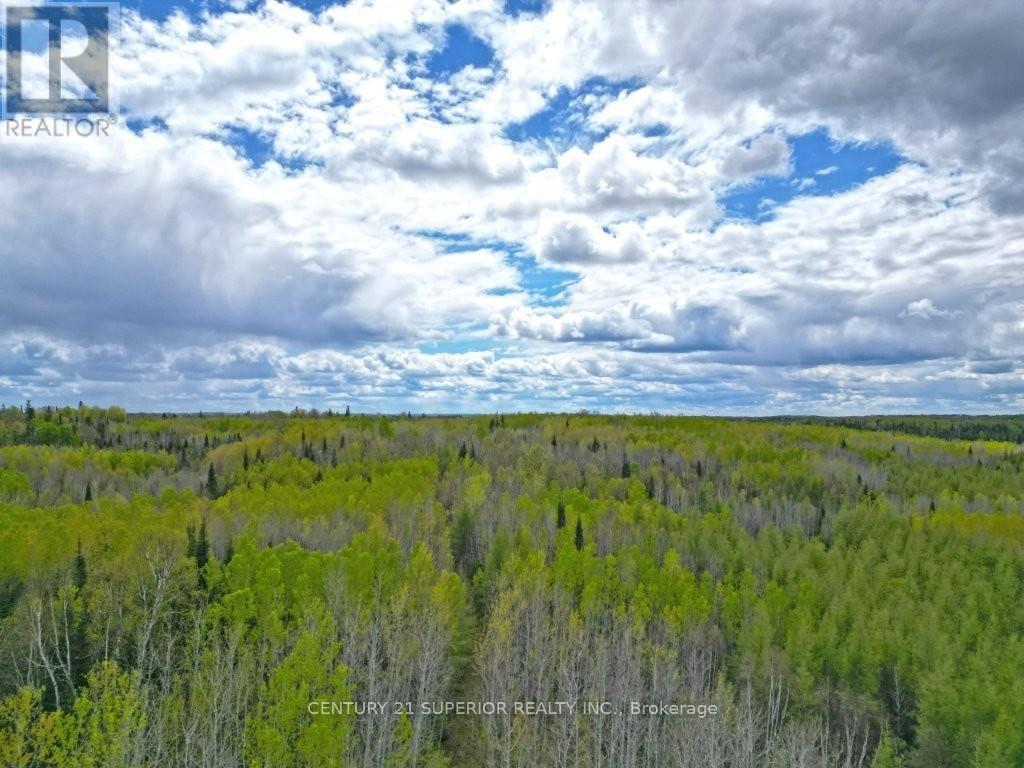 1191 Gonyou Road, Thunder Bay Remote Area, Ontario  P0T 2Y0 - Photo 6 - X13259352