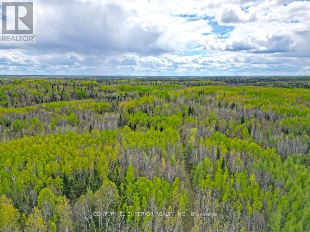 1191 Gonyou Road, Thunder Bay Remote Area, Ontario  P0T 2Y0 - Photo 10 - X13259352