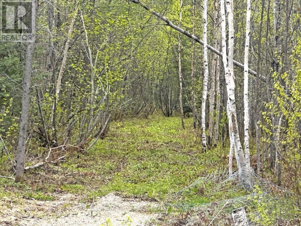 1191 Gonyou Road, Thunder Bay Remote Area, Ontario  P0T 2Y0 - Photo 27 - X13259352