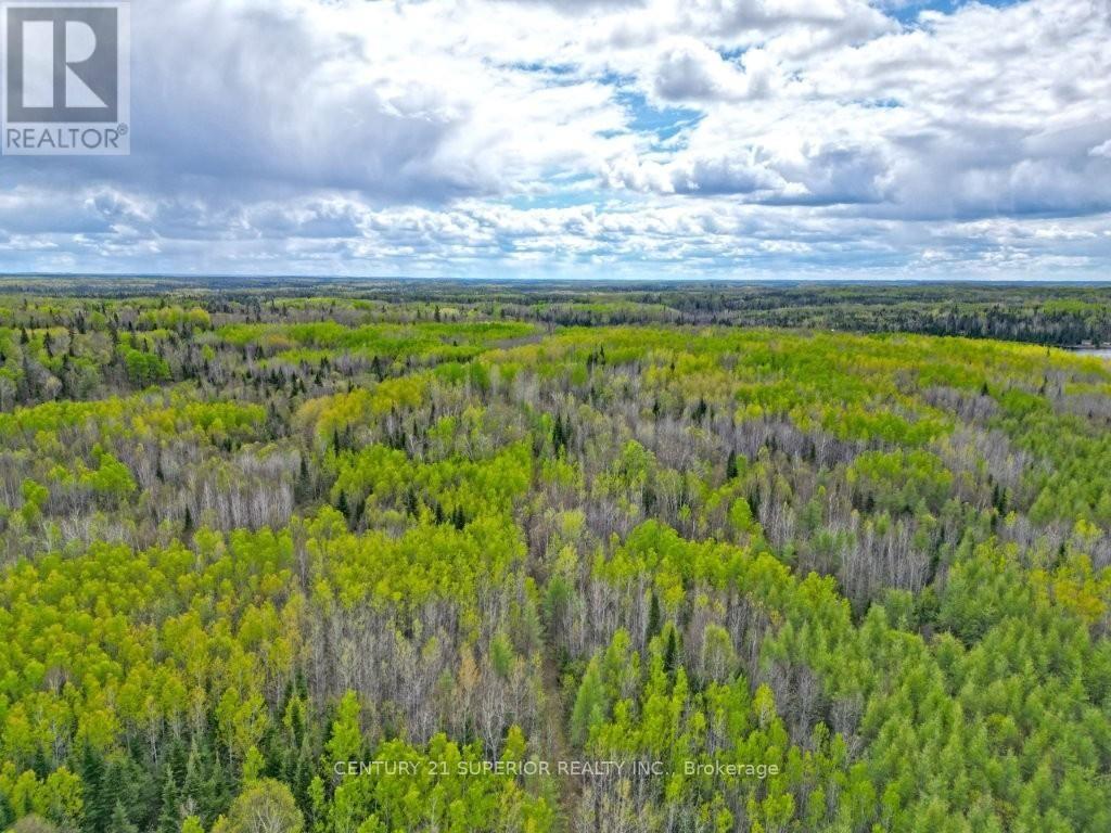 1191 Gonyou Road, Thunder Bay Remote Area, Ontario  P0T 2Y0 - Photo 13 - X13259352