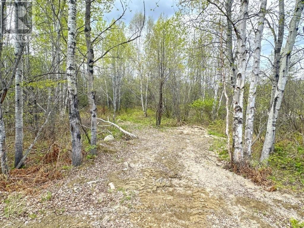 1191 Gonyou Road, Thunder Bay Remote Area, Ontario  P0T 2Y0 - Photo 28 - X13259352