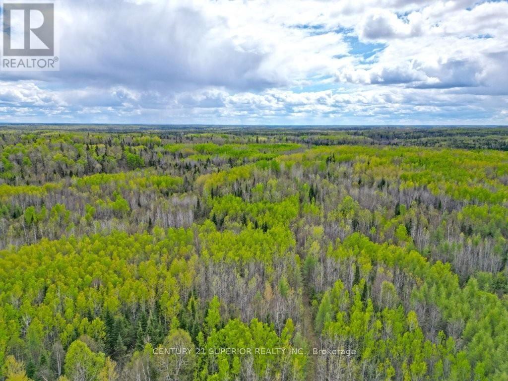1191 Gonyou Road, Thunder Bay Remote Area, Ontario  P0T 2Y0 - Photo 9 - X13259352