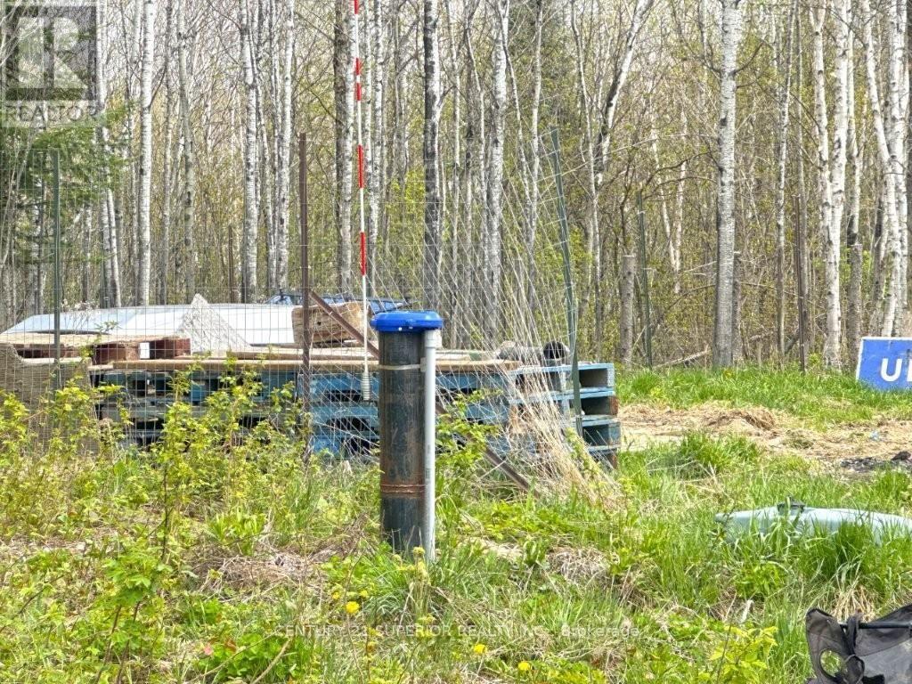 1191 Gonyou Road, Thunder Bay Remote Area, Ontario  P0T 2Y0 - Photo 29 - X13259352