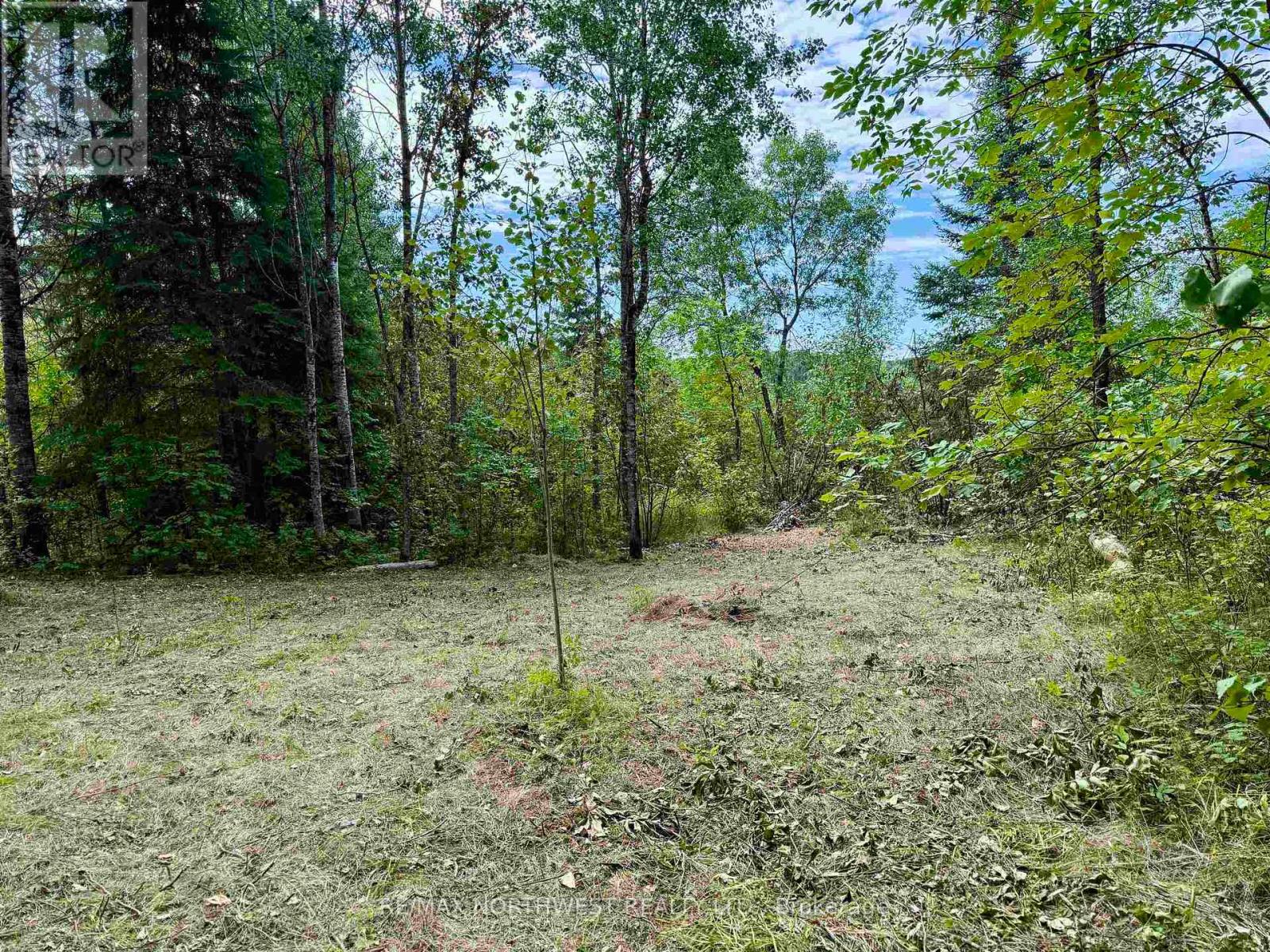 3 Battigelli Drive, Kenora, Ontario  P9N 4P2 - Photo 2 - X13250886