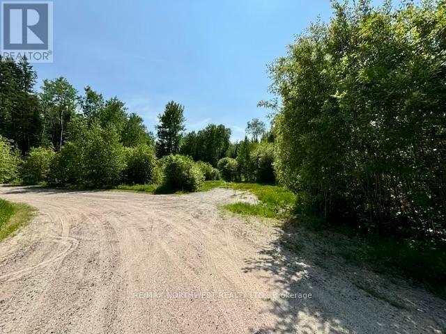 3 Battigelli Drive, Kenora, Ontario  P9N 4P2 - Photo 3 - X13250886