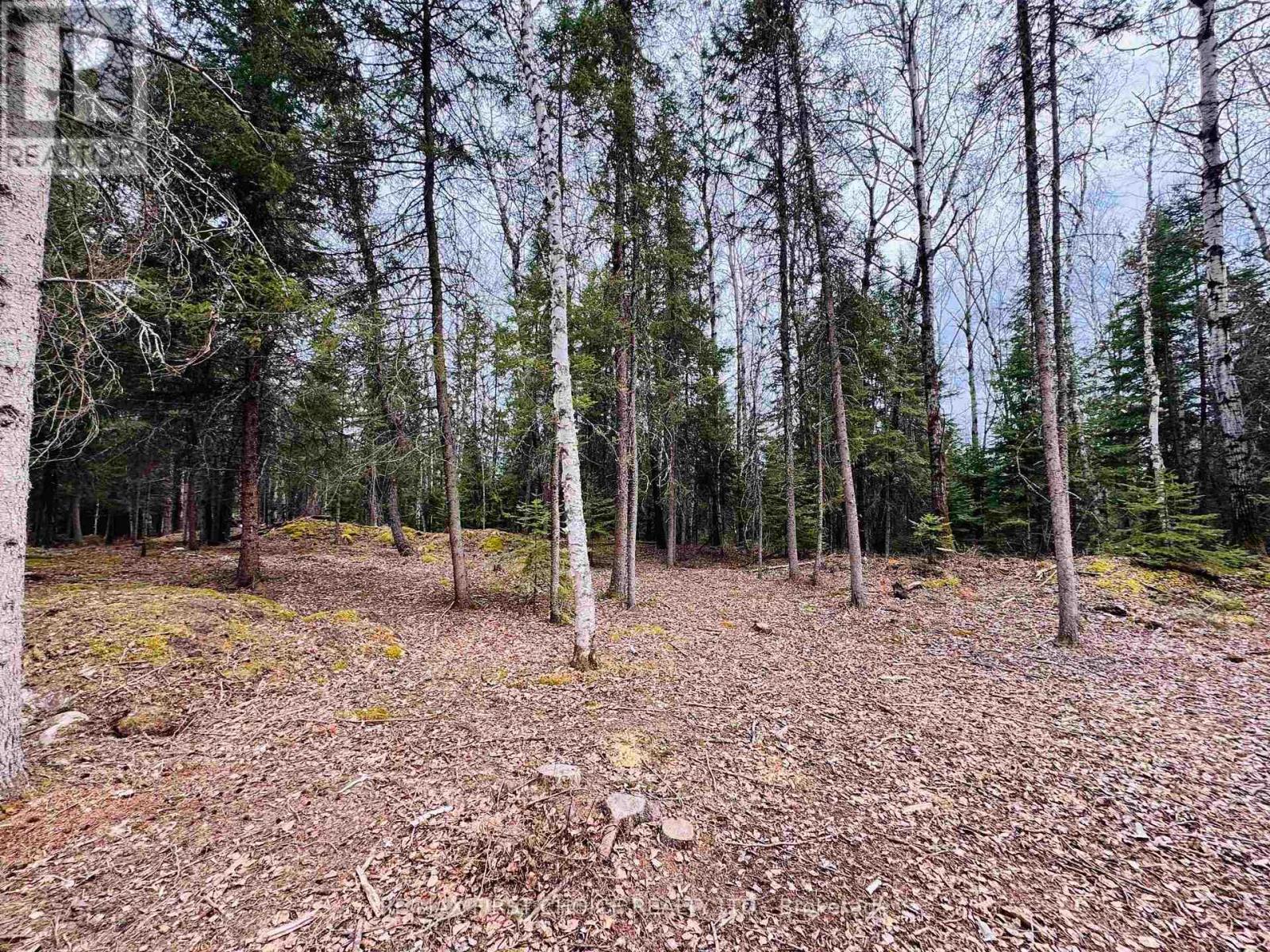 1,2,4,5 Bennett Drive /mcmanus Street, Red Lake, Ontario  P0V 1C0 - Photo 3 - X13250988