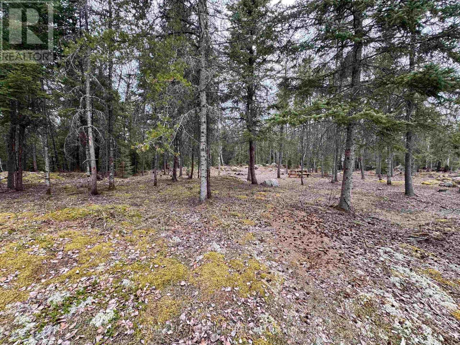 1,2,4,5 Bennett Drive /mcmanus Street, Red Lake, Ontario  P0V 1C0 - Photo 1 - X13250988