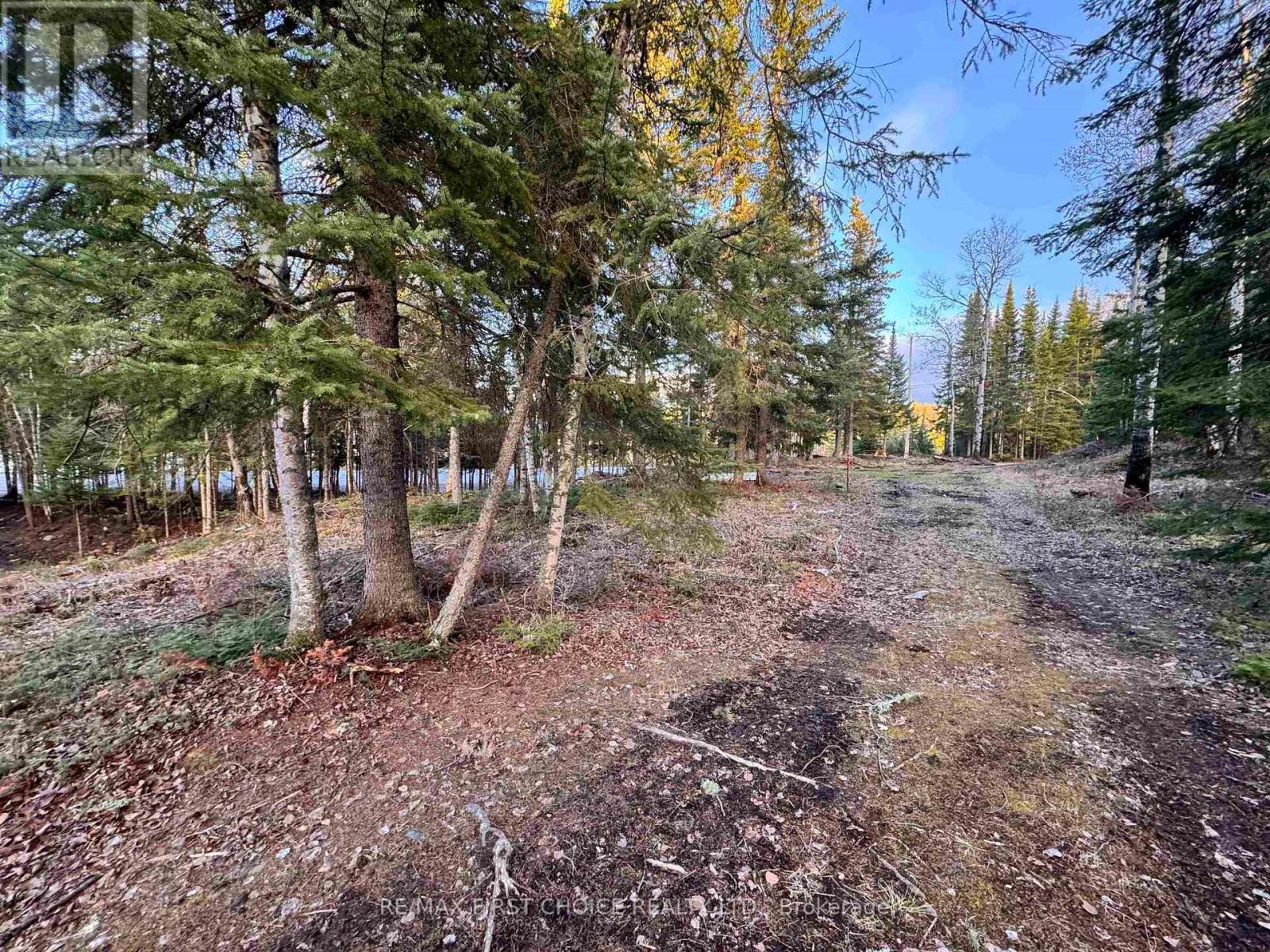 1,2,4,5 Bennett Drive /mcmanus Street, Red Lake, Ontario  P0V 1C0 - Photo 12 - X13250988